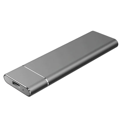 Externe SSD Festplatte Edel Metall Tragbar Blitzschnell - Novaglow