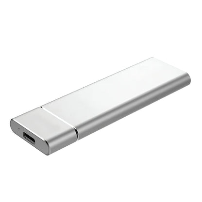 Externe SSD Festplatte Edel Metall Tragbar Blitzschnell